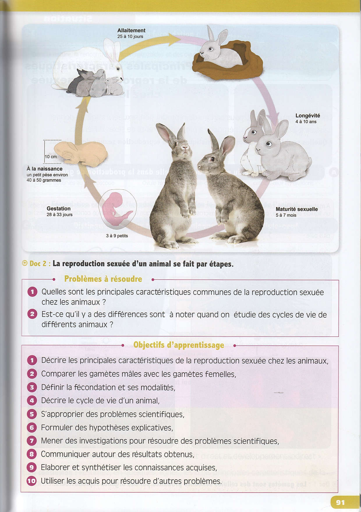 La Reproduction Chez Les Animaux Cours Manuel AlloSchool