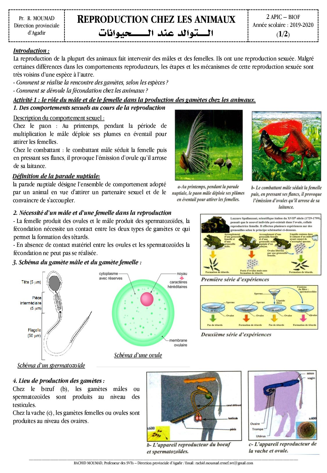 La Reproduction Chez Les Animaux Cours MA AlloSchool