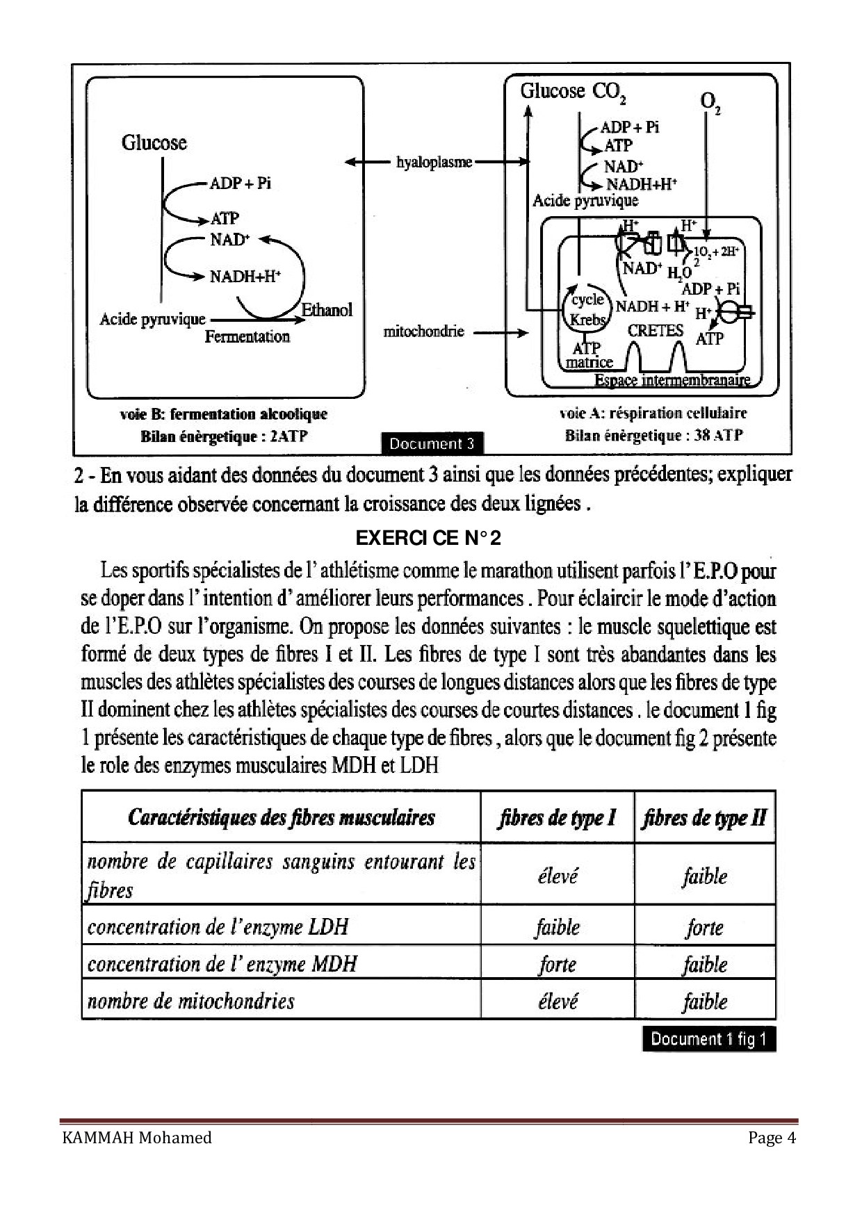 Le Futur Des énergies Terminale Exercices Corrigés