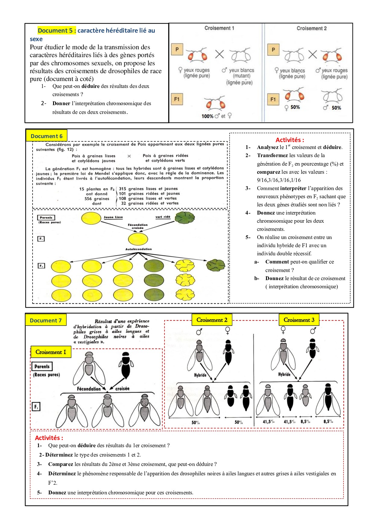 Lois statistiques de la transmission des caractères héréditaires Documents AlloSchool
