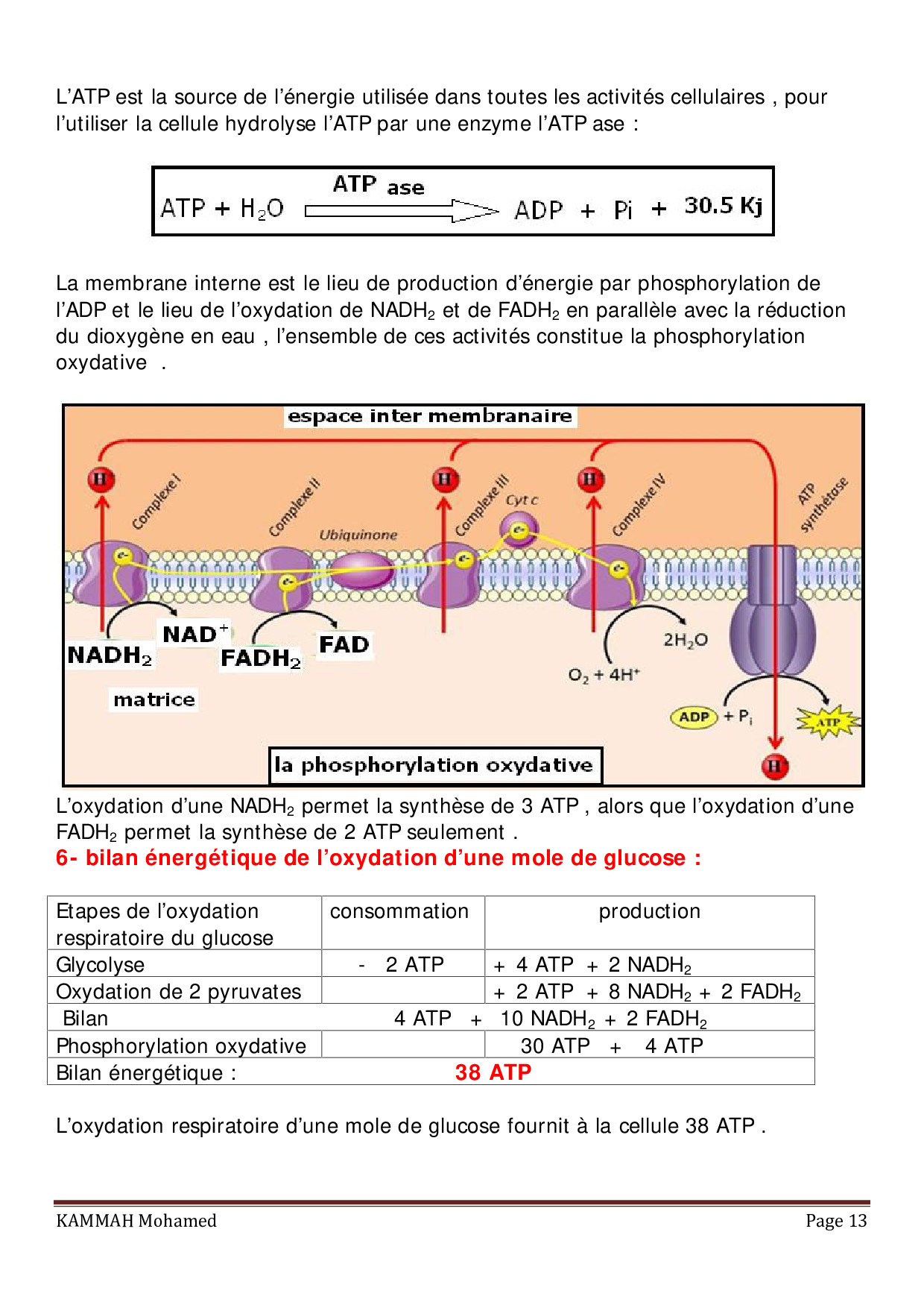 Libération De L énergie Emmagasinée Dans La Matière Organique Cours 3 Libération De L énergie Emmagasinée Dans La Matière Organique Cours 3