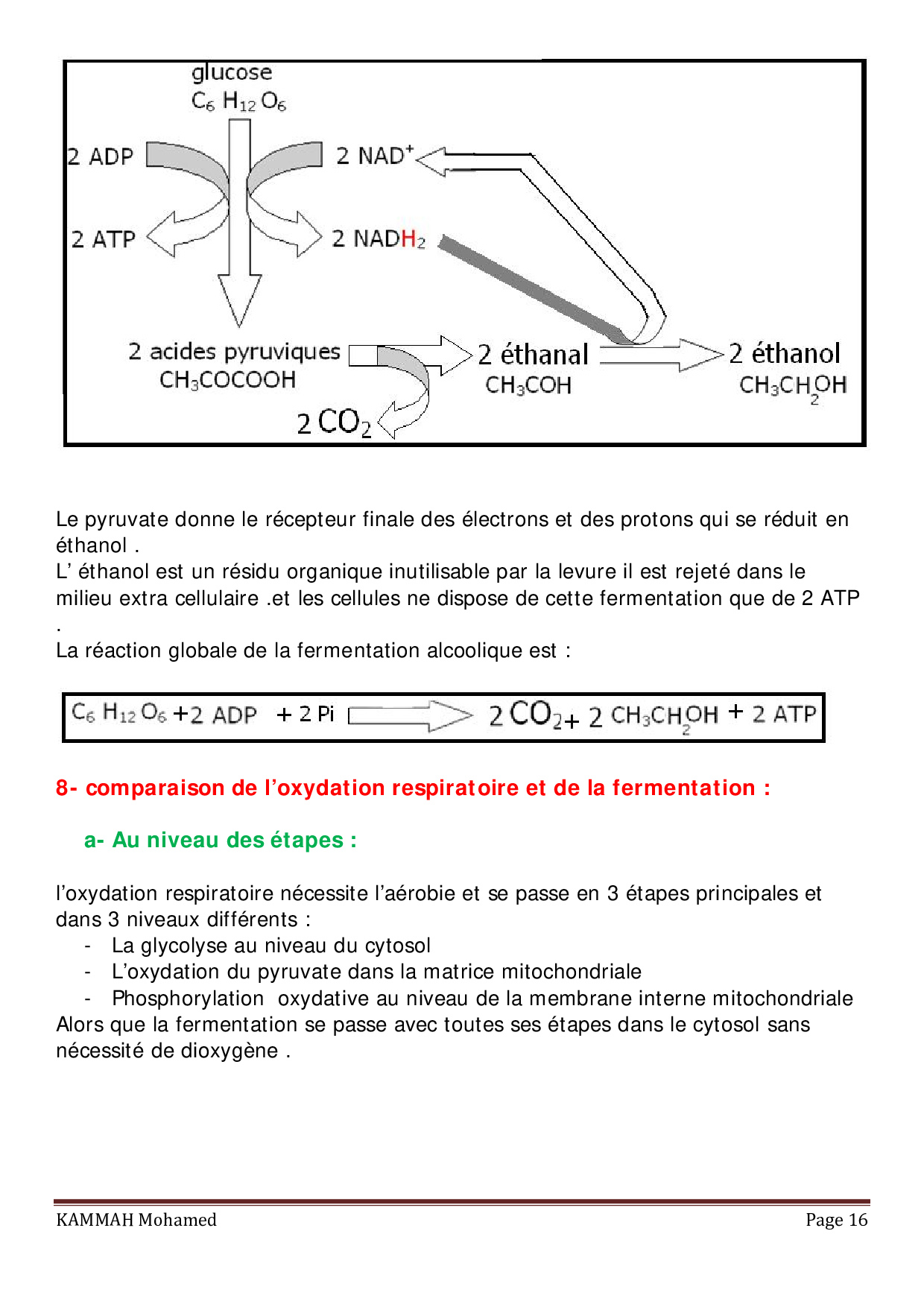 Libération De L énergie Emmagasinée Dans La Matière Organique Cours 3 Libération De L énergie Emmagasinée Dans La Matière Organique Cours 3
