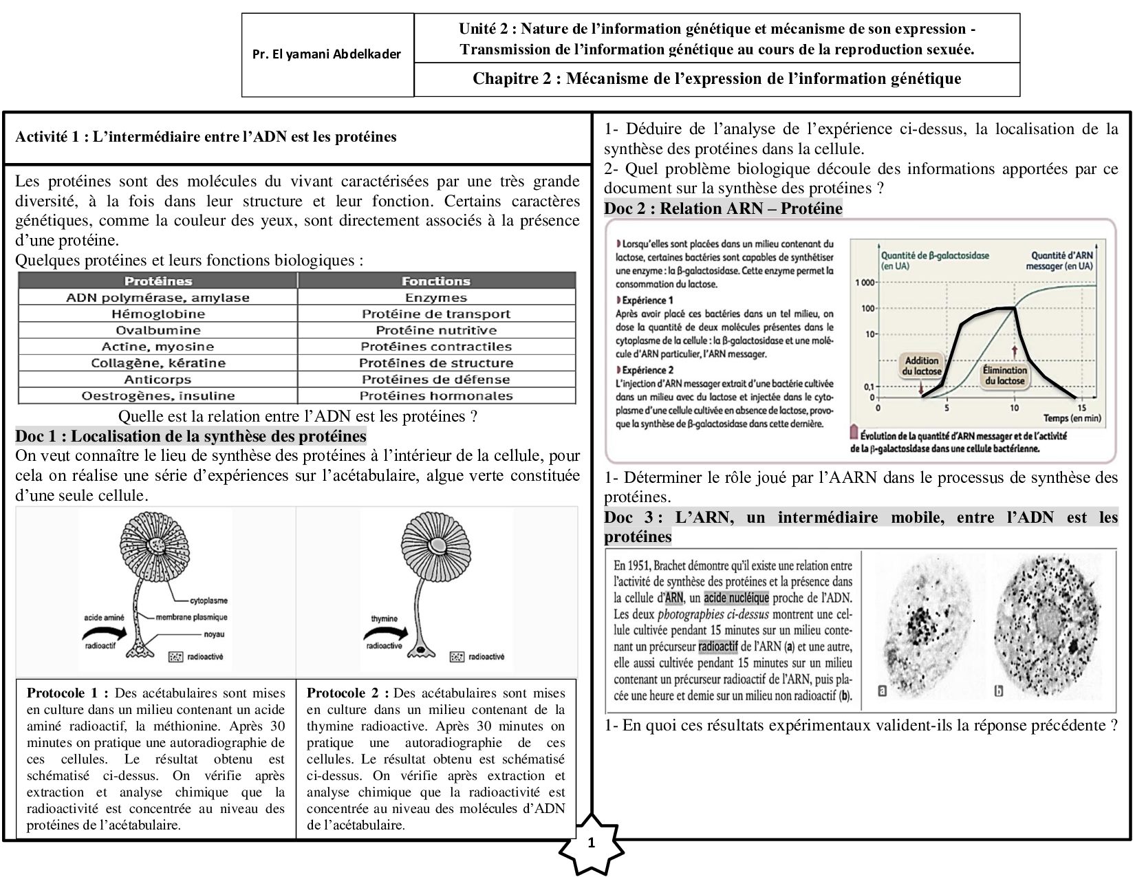 Expression de l’information génétique Activités AlloSchool