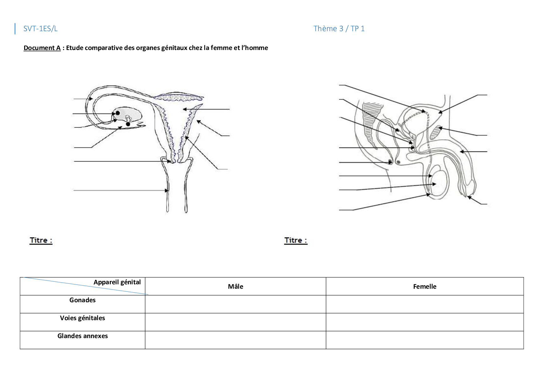 TP 1 Structure et mise en