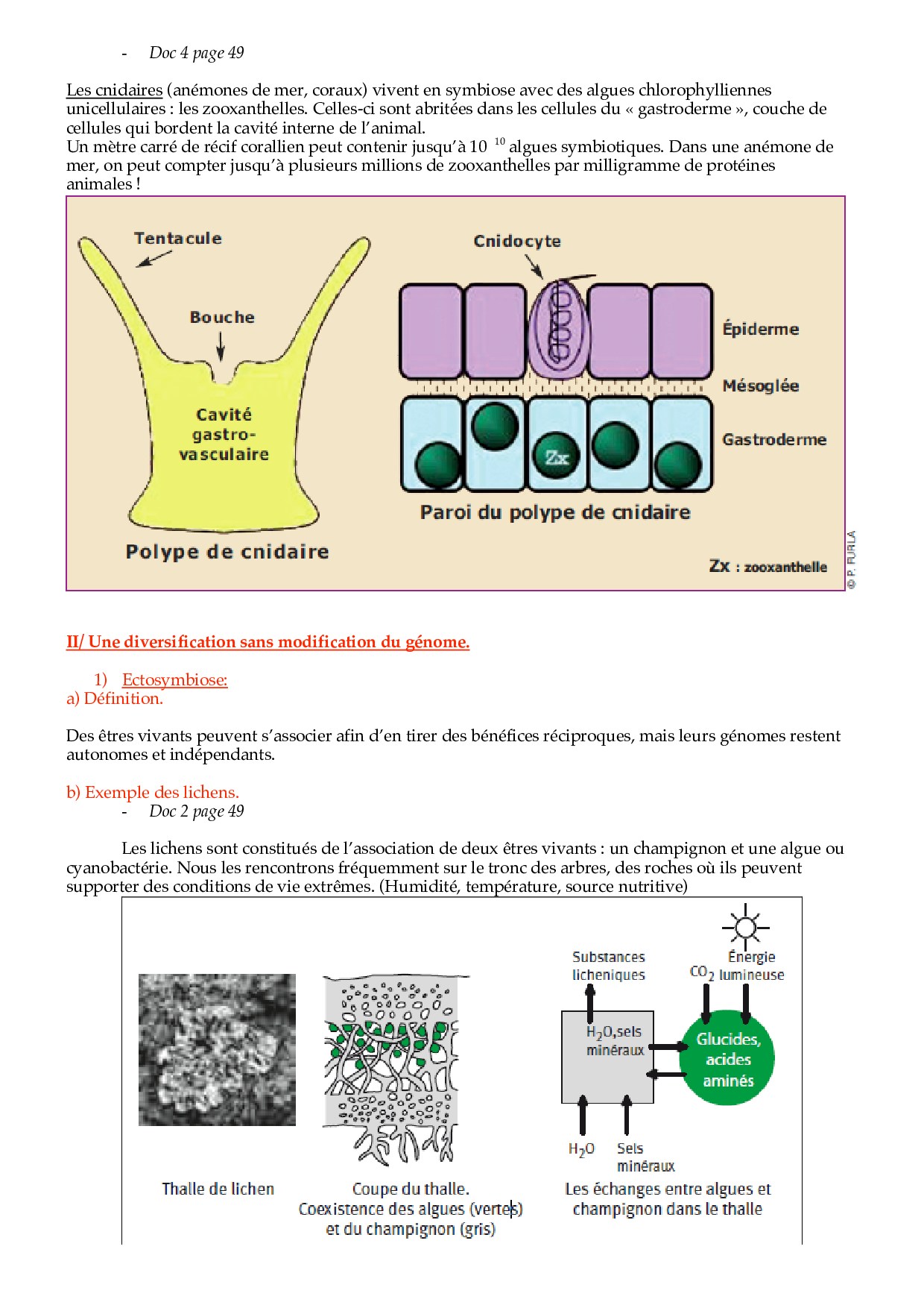 Dissertation svt diversification du vivant 06 image