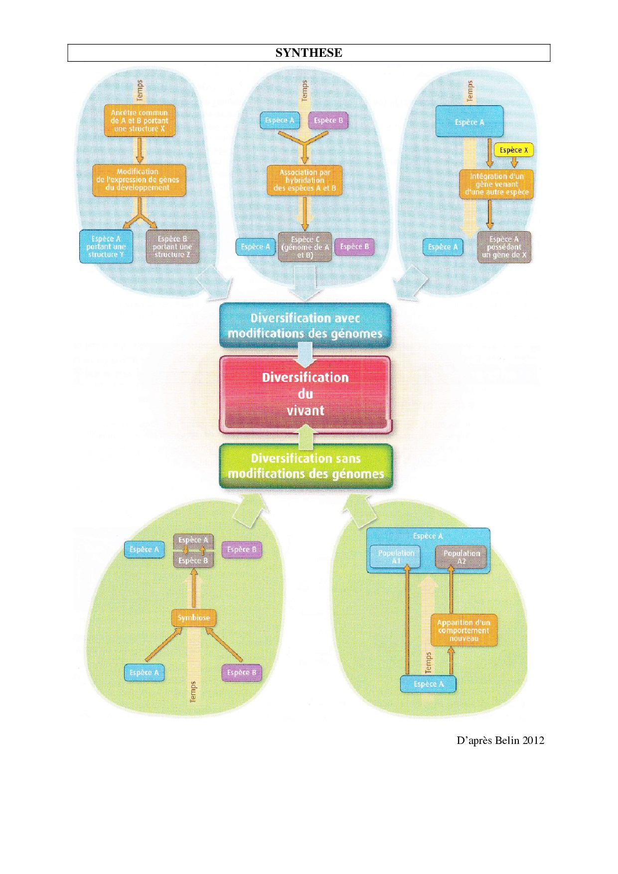 Cours svt seconde pdf picture