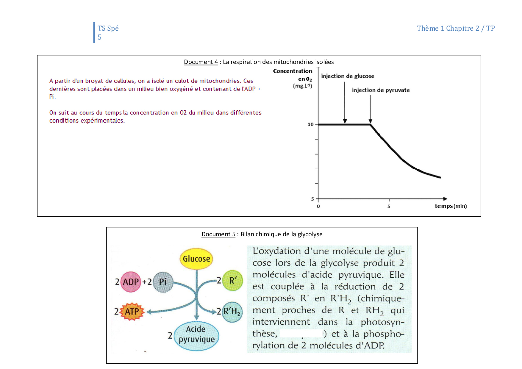 TP La respiration cellulaire AlloSchool
