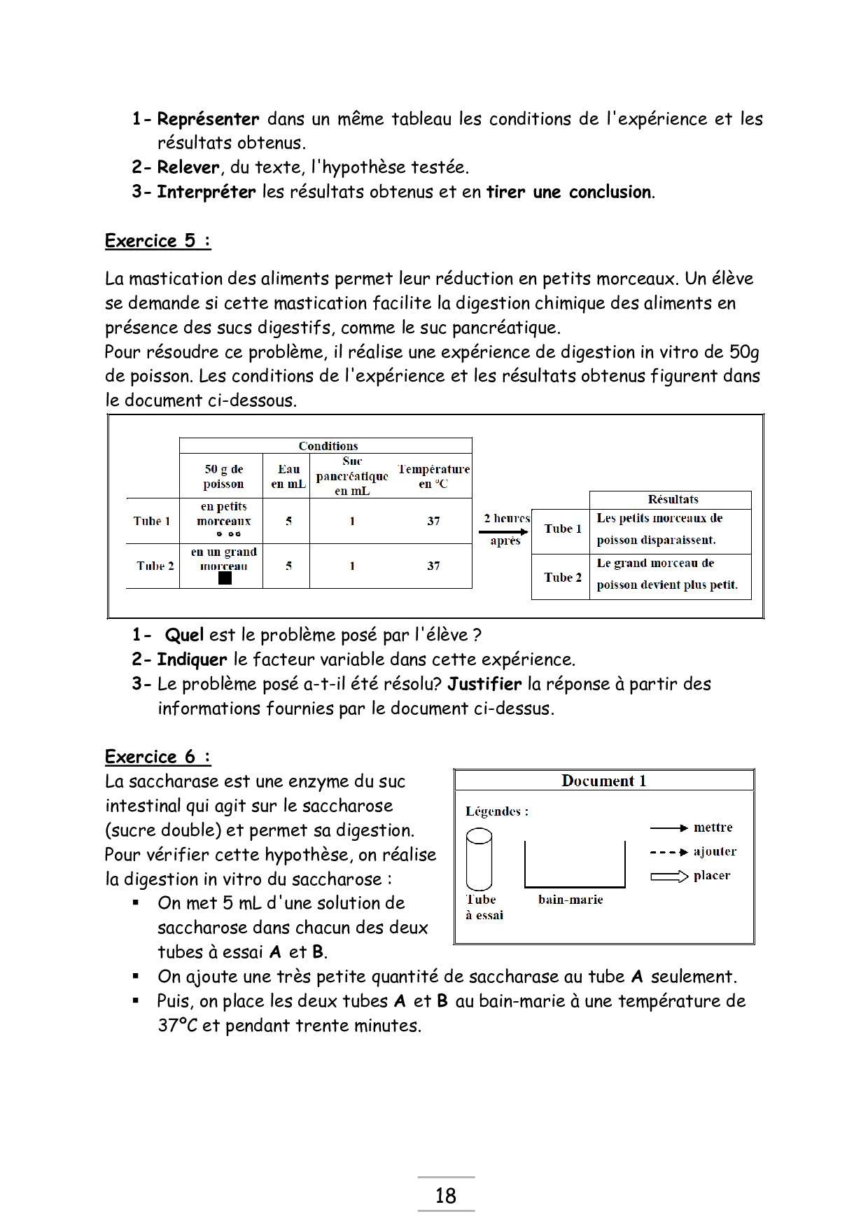 Devoir Svt La Digestion Des Aliments Correction Pdf