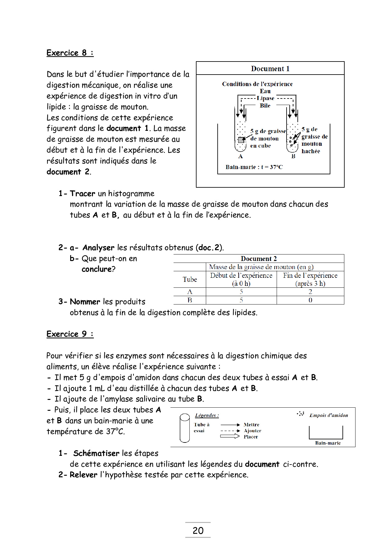 Devoir Svt La Digestion Des Aliments Correction Pdf