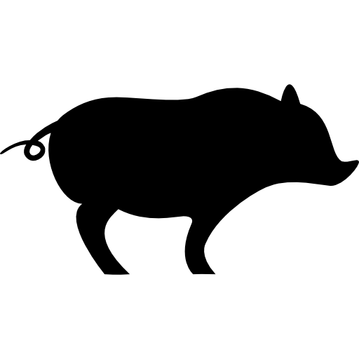 pig