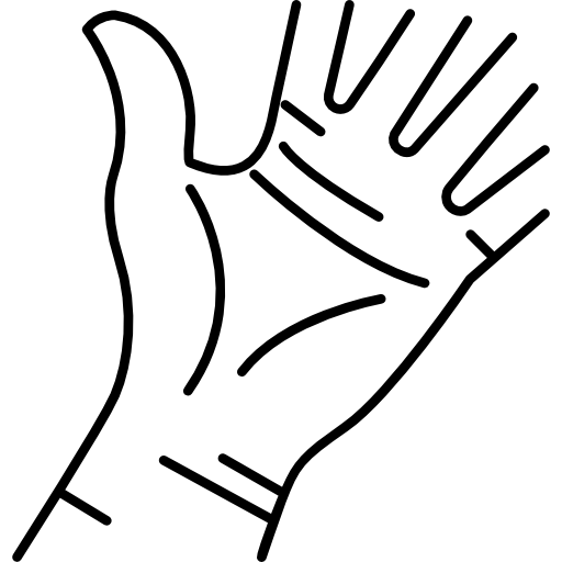hand palm
