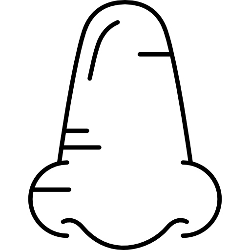 nose