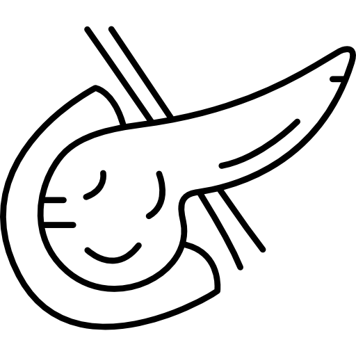 pancreas