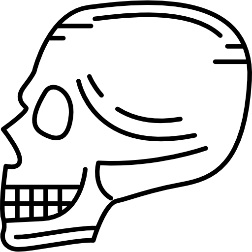 skull