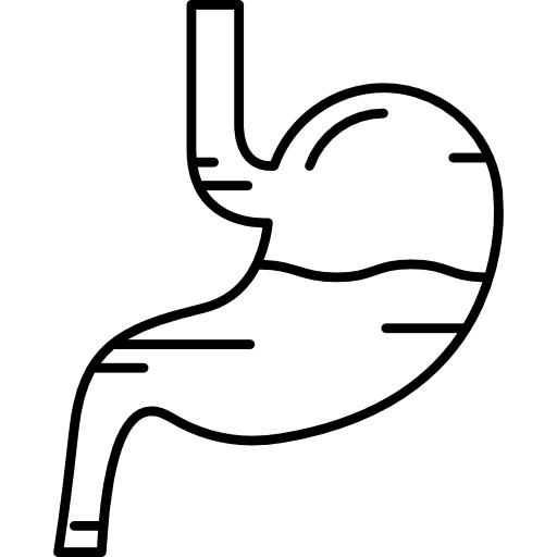 stomach