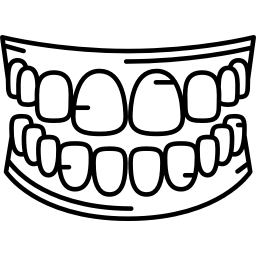 teeth