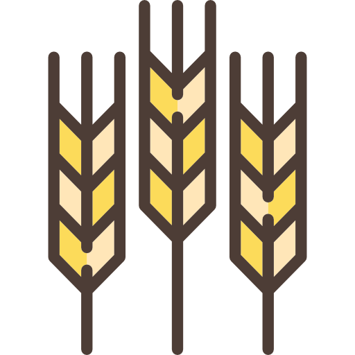 wheat