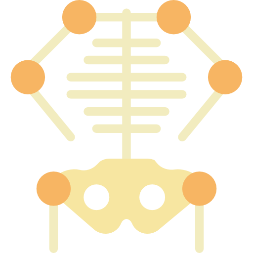 skeleton
