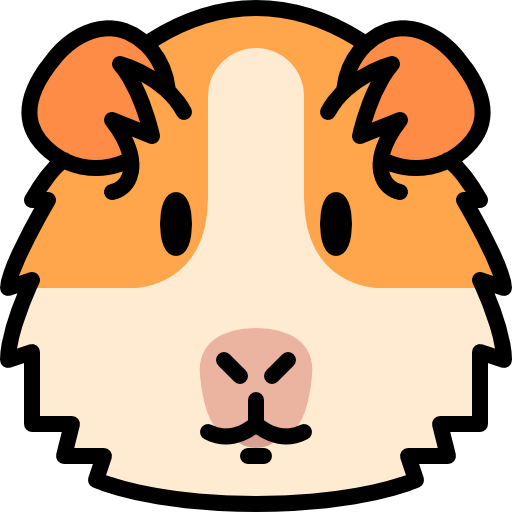 guinea pig