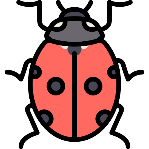 ladybug