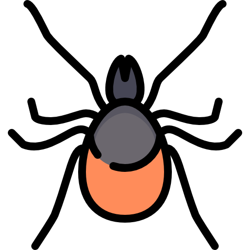 mite