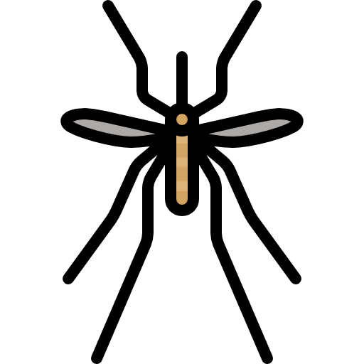 mosquito