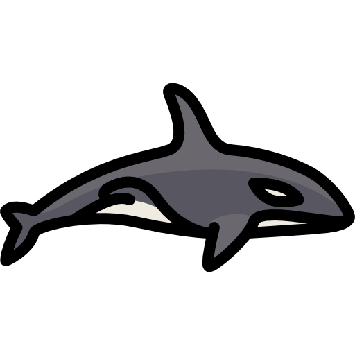 orca