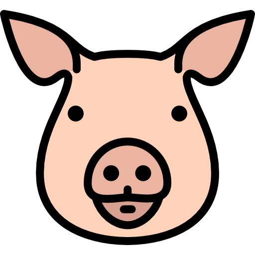 pig