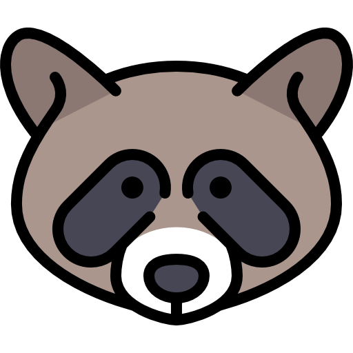 raccoon