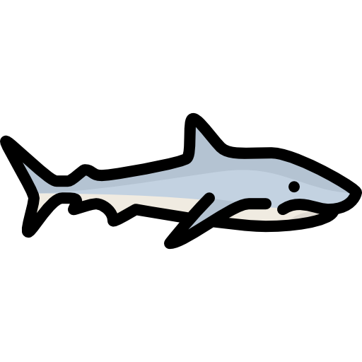 shark