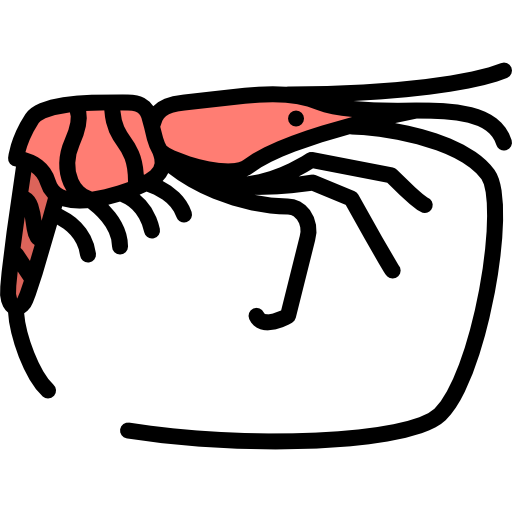 shrimp