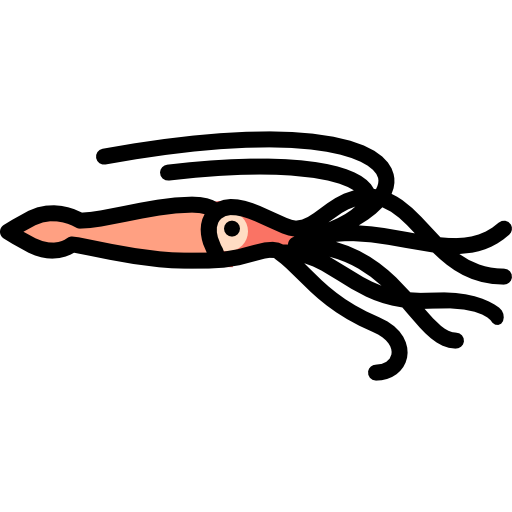 squid