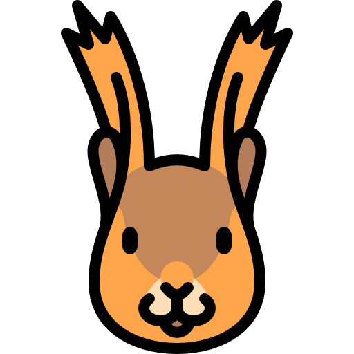 squirrel