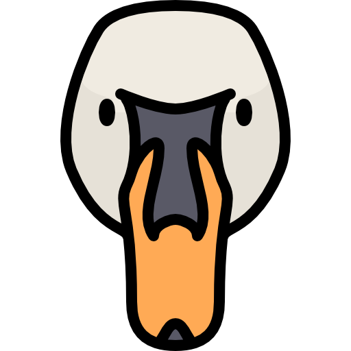 swan