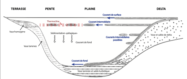 Problèmes de sédimentation dans les deltas